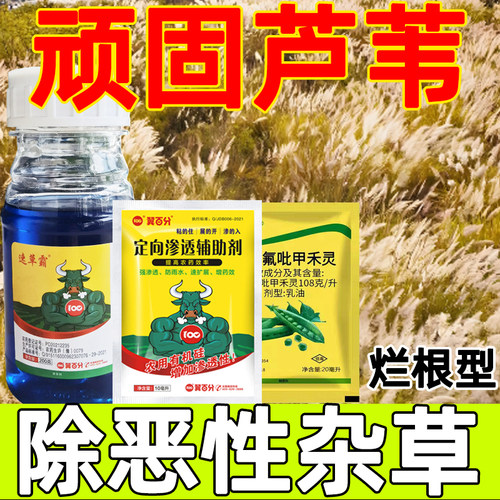 芦苇专用药茅草狗尾草除草芦苇克星茅草净强效芦苇除草烂根剂正品