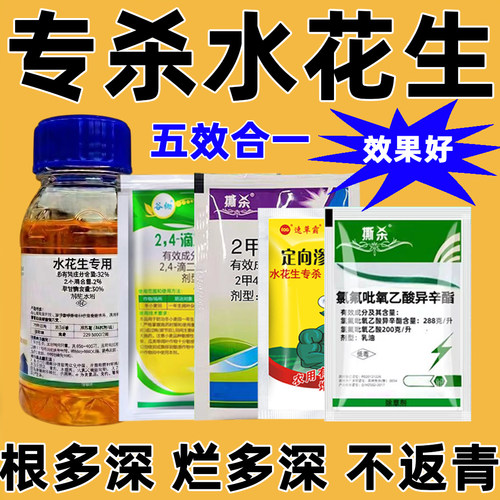 水花生专用烂根剂强力除草正品