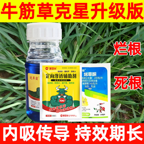升级版牛筋草杀正品强效除草剂芦苇马唐茅草牛筋草专用药除草烂根