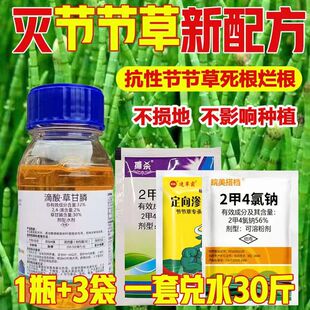 滴酸草甘膦2甲4氯节节草克星专用烂根节节草毛管草强效除草剂正品