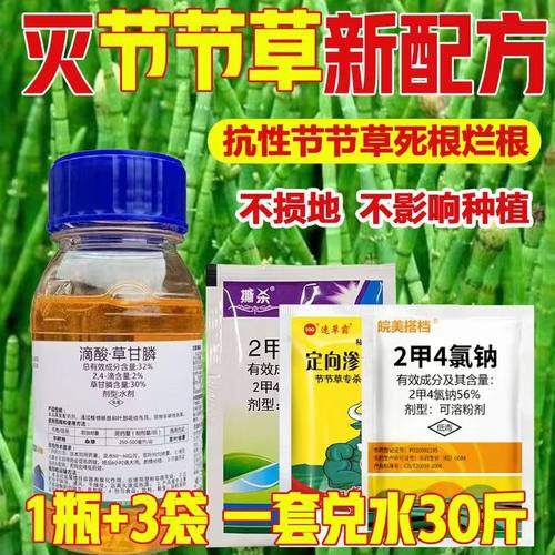 滴酸草甘膦2甲4氯节节草克星专用烂根节节草毛管草强效除草剂正品