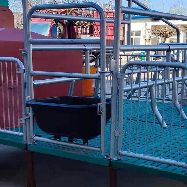 养猪设备 母猪定位栏双体 一体全复合保育床产床