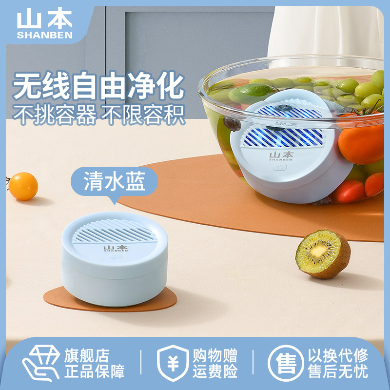 果蔬净化器食材清洗机家用杀菌便携无线除农残全自动洗菜机