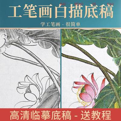 玉水湖工笔画白描底稿国画临摹画册画稿手绘素材花鸟线描入门工笔