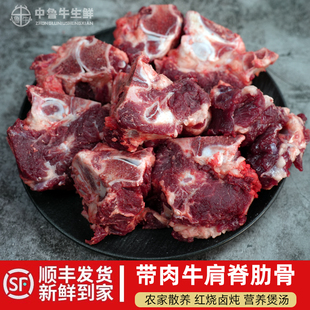 5斤牛肩脊肋骨国产清真牛杂骨排骨头牛蝎子煲汤牛骨炖汤冷冻新鲜