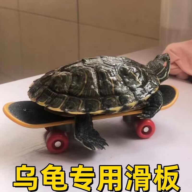 乌龟滑板专用网红玩具卡通大小号手指尖滑板万向轮男女孩生日礼物