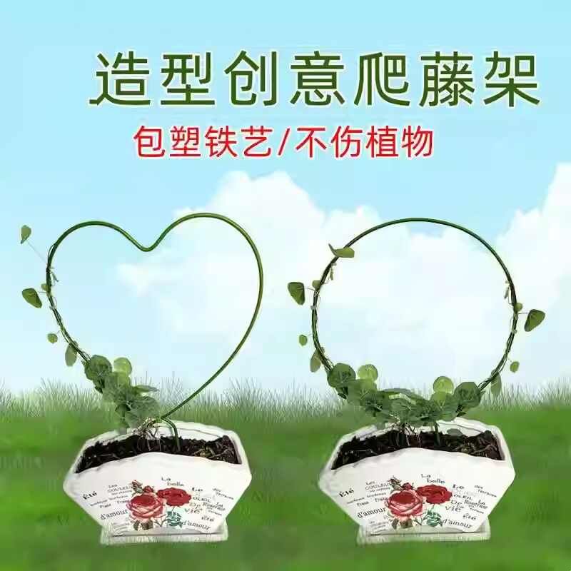 室内铁艺圆形心形雪莹山乌龟甲龙蝴蝶兰造型花架爬藤架子植物支架