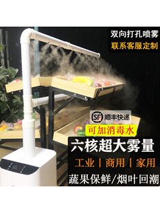 蔬菜保鲜加湿器商场生鲜店可加水大功率雾化器大量工业消毒喷雾器