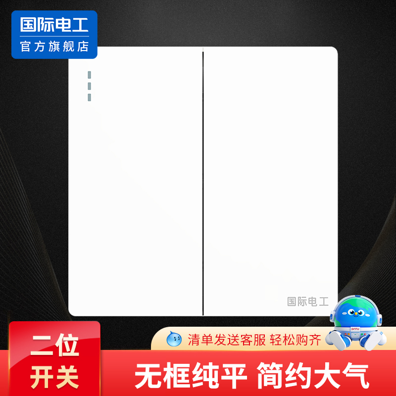 国际电工开关插座面板二开双控
