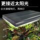 雨林缸专用灯生态植物生长灯光谱仿太阳光爆藻灯水族观赏灯速卖通
