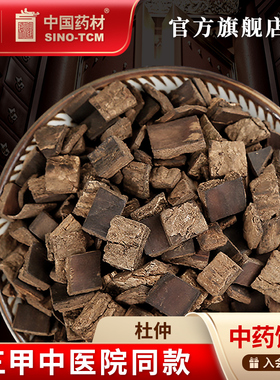 杜仲10g 国药集团冯了性中药饮片批发小包装中药材抓配中国药材