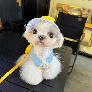 一件 春夏宠物胸背牵引绳猫咪狗狗衣服郊游鸭牵引套装