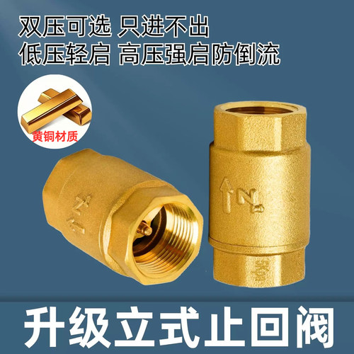 黄铜加厚4分6分双内丝立式单向阀