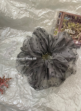 Coconut 洋气博主～高品质双层网纱波点丸子头大肠发圈温柔感头花