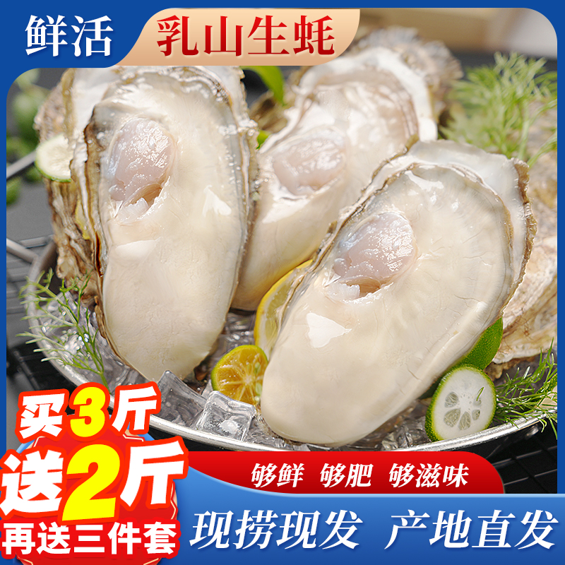 正宗乳山生蚝生蚝鲜活乳山生蚝新鲜牡蛎海蛎子特大号海鲜水产