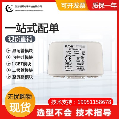 快速熔断器 保险丝170M6410 170M6411 170M6412T 170M6413