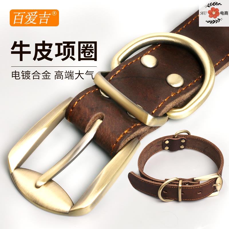 狗脖子项圈防脱大型犬狗脖套金毛B狗狗泰迪防丢宠物狗绳身份牌狗
