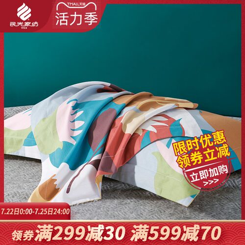 民光全棉枕套夏季纯棉100枕头B套子枕芯外套单人一对装家用枕套