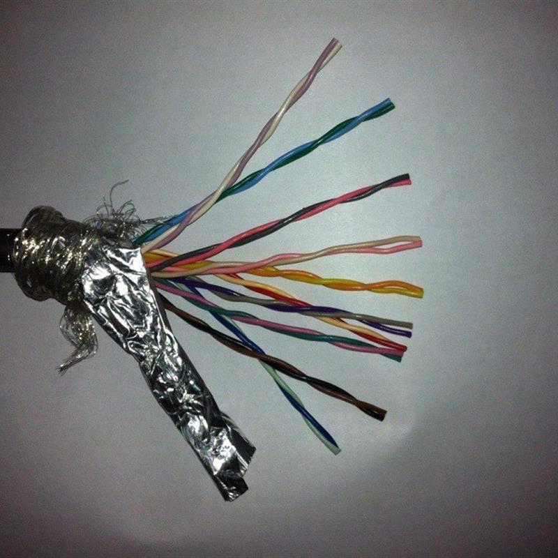 20芯屏蔽线对绞双绞线20*0.3rvsp信号控制线PVC纯铜镀锡铜网