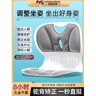 护腰坐垫椅腰靠垫支撑人体工学哺乳久坐不累神器办公上班家人礼物