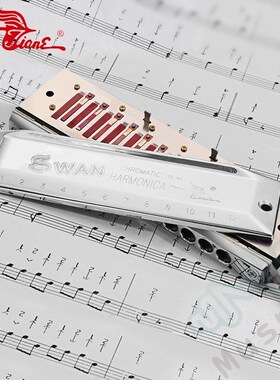 SWAN Harmonica Senior 12 Hole 48 Tones Chromatic Harmonica S