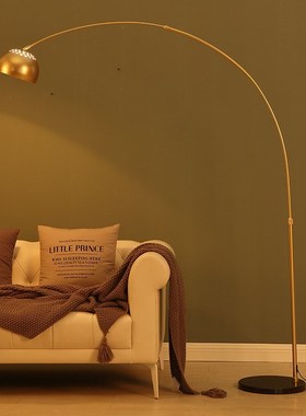 Nordic fishing lamp floor lamp Simple modern living room sof