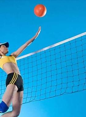 Good deal International Match Standard Official Sized Volle