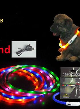 Led Usb Halsband Huisdier Halsband Night Halsbanden Glowing