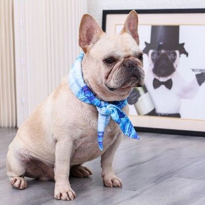 Pets Cooling Ice Collar Instant Cooling Dog Bib Towel
