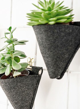 Hanging Planting Bag Felt Planter Pots Fabric Grow Bags Hang