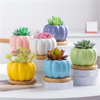 Creative Color Succulent Pot Ceramic Pumpkin Small Flower