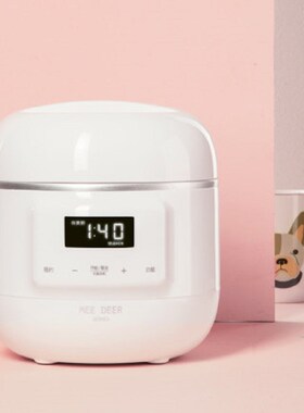 Electric Slow Cooker Food Steamer Electric Rice Cooker Stain