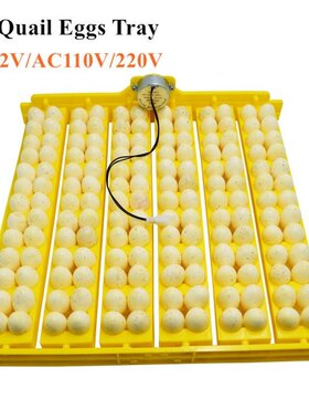 156 Quail Eggs Tray Incubator Turner Automatically Turn Eggs