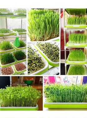 Seed Sprouter Tray Double-layer Soilless Culture Seeds Hydro