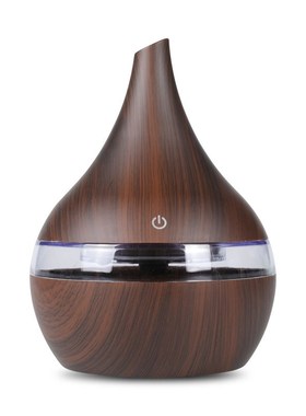 300ml Car Aroma Diffuser Electrial 5V Car Air Humidifier for