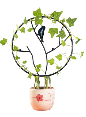 Iron Rack Flower Stand Metallic Sturdy Strong Plant Growing