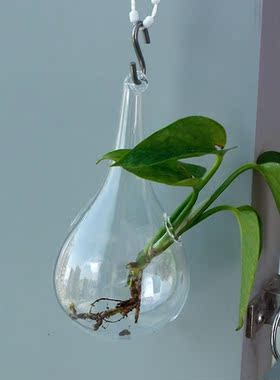 *Clear Glass Hanging Vase Bottle Terrarium Container Plant F