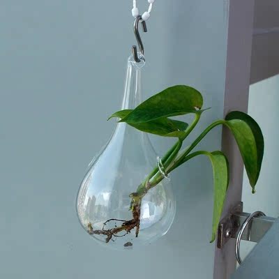 *Clear Glass Hanging Vase Bottle Terrarium Container Plant F