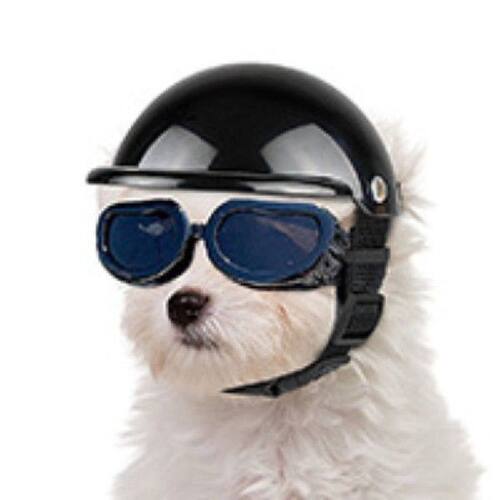 Pet Hat Dog Helmet Motorcycle ABS Cap For Small Medium Dogs