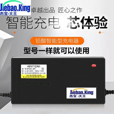 JieBao king electric motor car storage battery chargers for