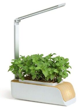 Hot Newest Intelligent Vegetable Planting Machine Soilless