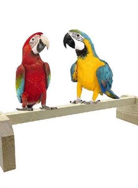 Bird Climbing ToyChicken Perch Bird Stand Chicken Chick