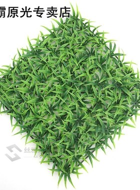 EcoFriendly Aquarium Ornaments Artificial Water Plastic Gree