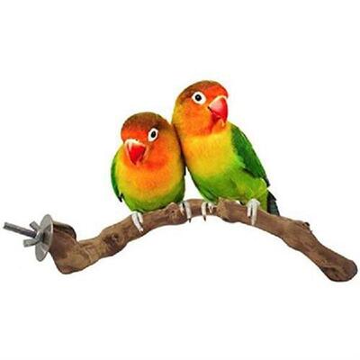 New Arrival Bird Toys Grapevine 25cm Parrot Bird Toy