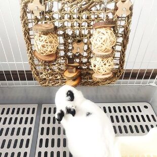 Hamster Fruitwood Chew Toy Grass Cake Wicker Ball Small