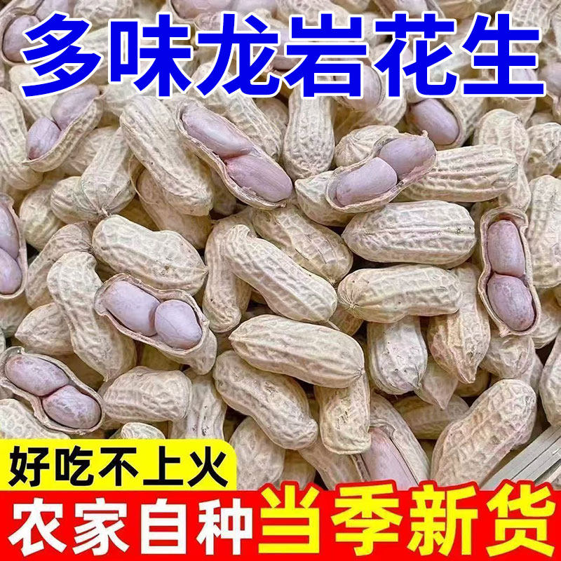 龙岩湿烤花生2025新货咸干蒜香五香带壳水煮下酒菜炒货年货大批发,零食/坚果/特产,花生,淘宝优惠券,粉丝福利购,淘宝优惠卷