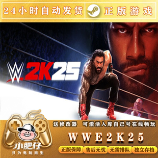 Steam WWE2K25 激活入库全DLC 包更新全球区 CDKEY