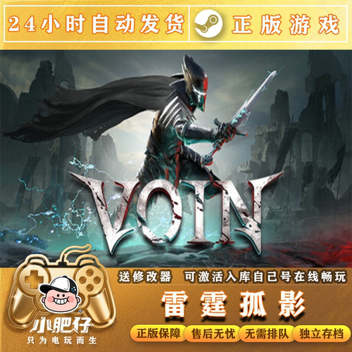 Steam 正版 国区 雷霆孤影 VOIN 激活码cdkey 激活入库 雷霆孤影