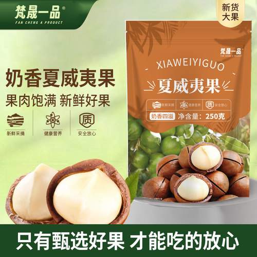 南非进口夏威夷果特大颗粒