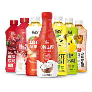 【节庆装】轻上椰泰椰汁生榨椰子汁1L整箱大瓶装椰汁饮品饮料